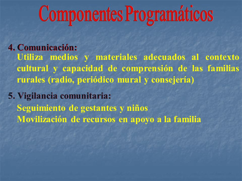 Componentes Programáticos