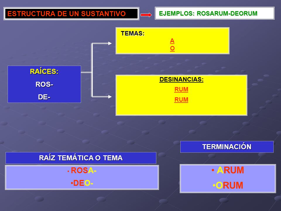 ARUM ORUM DEO- ESTRUCTURA DE UN SUSTANTIVO RAÍCES: ROS- DE-