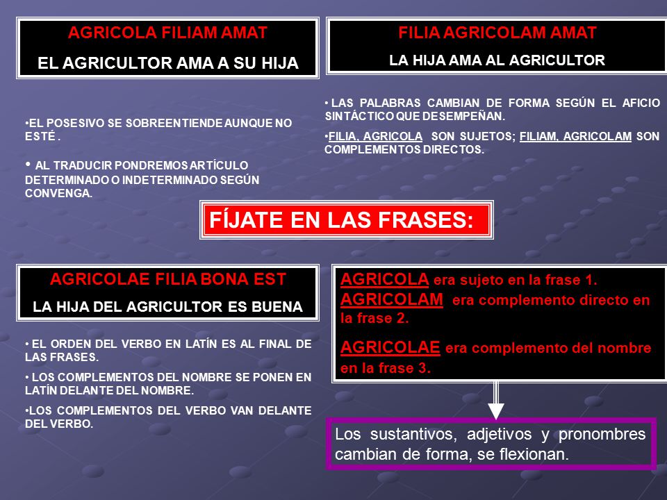 FÍJATE EN LAS FRASES: AGRICOLA FILIAM AMAT EL AGRICULTOR AMA A SU HIJA
