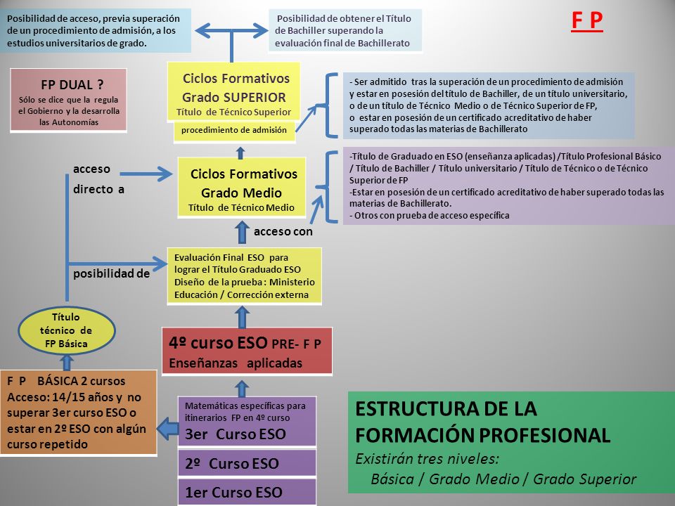 F P ESTRUCTURA DE LA FORMACIÓN PROFESIONAL Existirán tres niveles: