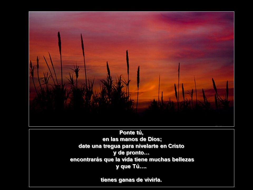 date una tregua para nivelarte en Cristo y de pronto…
