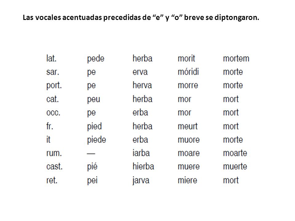 Las vocales acentuadas precedidas de e y o breve se diptongaron.