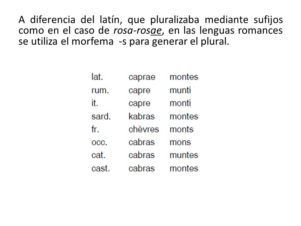 A diferencia del latín, que pluralizaba mediante sufijos como en el caso de rosa-rosae, en las lenguas romances se utiliza el morfema -s para generar el plural.
