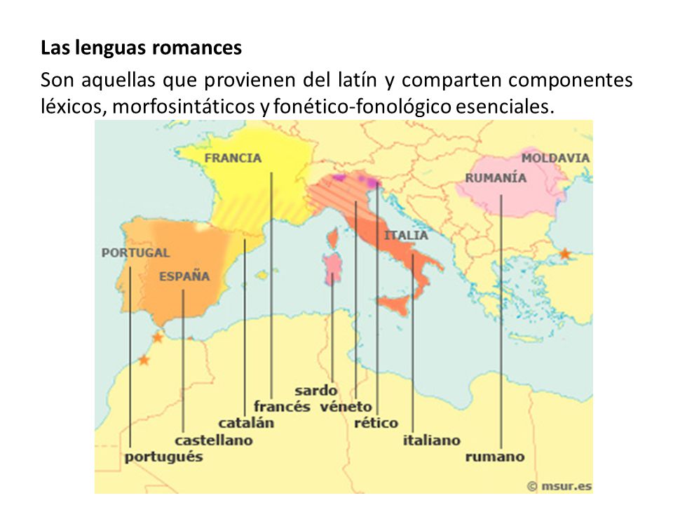 Las lenguas romances Son aquellas que provienen del latín y comparten componentes léxicos, morfosintáticos y fonético-fonológico esenciales.