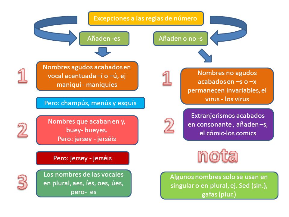 nota 3 Excepciones a las reglas de número Añaden -es