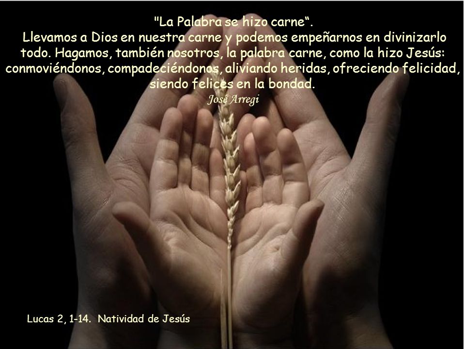 José Arregi Lucas 2, Natividad de Jesús