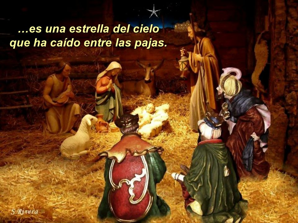 …es una estrella del cielo que ha caído entre las pajas.