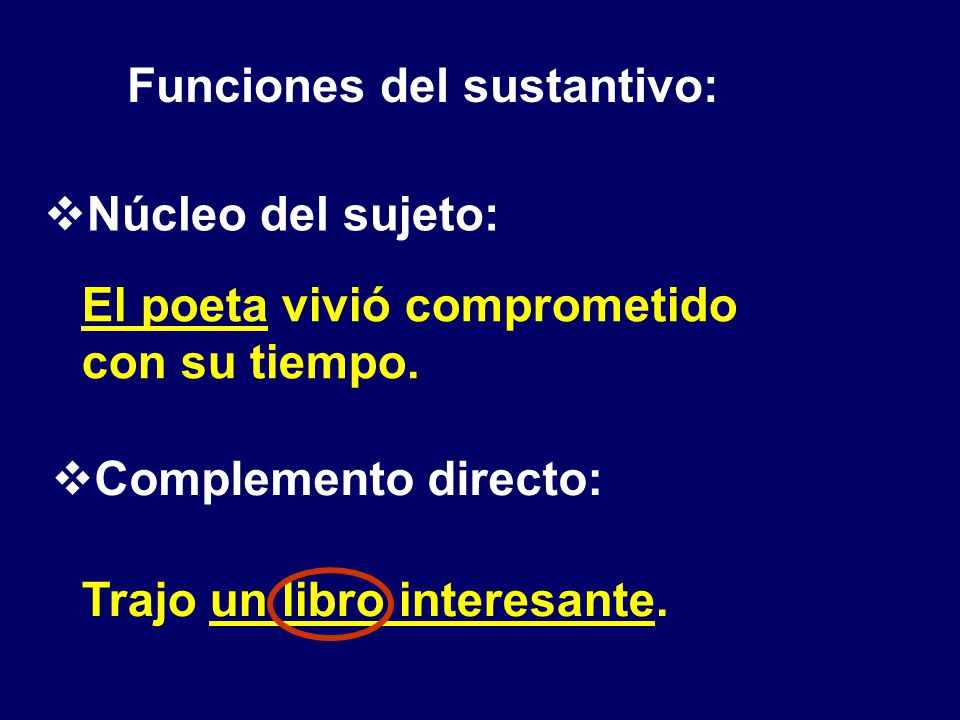 Funciones del sustantivo: