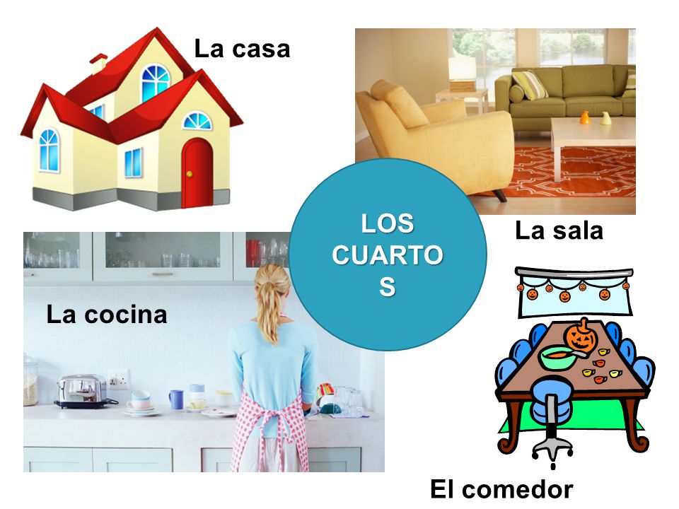 La casa LOS CUARTOS La sala La cocina El comedor