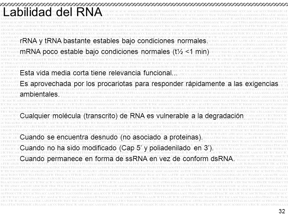 Labilidad del RNA rRNA y tRNA bastante estables bajo condiciones normales. mRNA poco estable bajo condiciones normales (t½ <1 min)‏