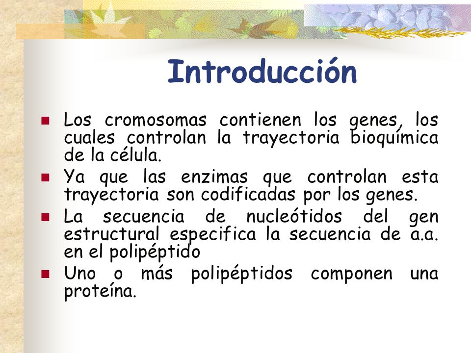 Introducción Los cromosomas contienen los genes, los cuales controlan la trayectoria bioquímica de la célula.