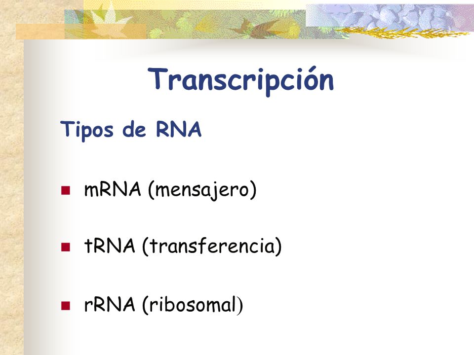 Transcripción Tipos de RNA mRNA (mensajero) tRNA (transferencia)