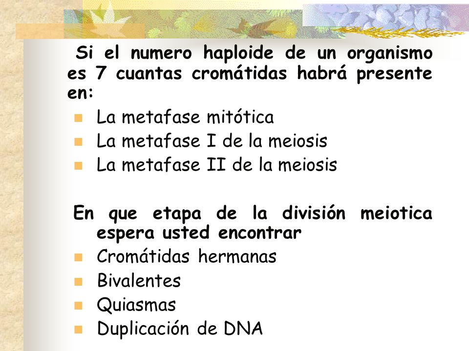 Si el numero haploide de un organismo es 7 cuantas cromátidas habrá presente en: