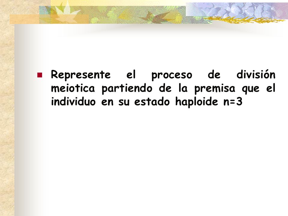 Represente el proceso de división meiotica partiendo de la premisa que el individuo en su estado haploide n=3