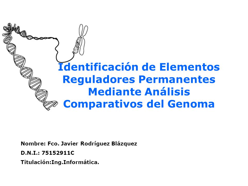 Identificación de Elementos Reguladores Permanentes Mediante Análisis Comparativos del Genoma