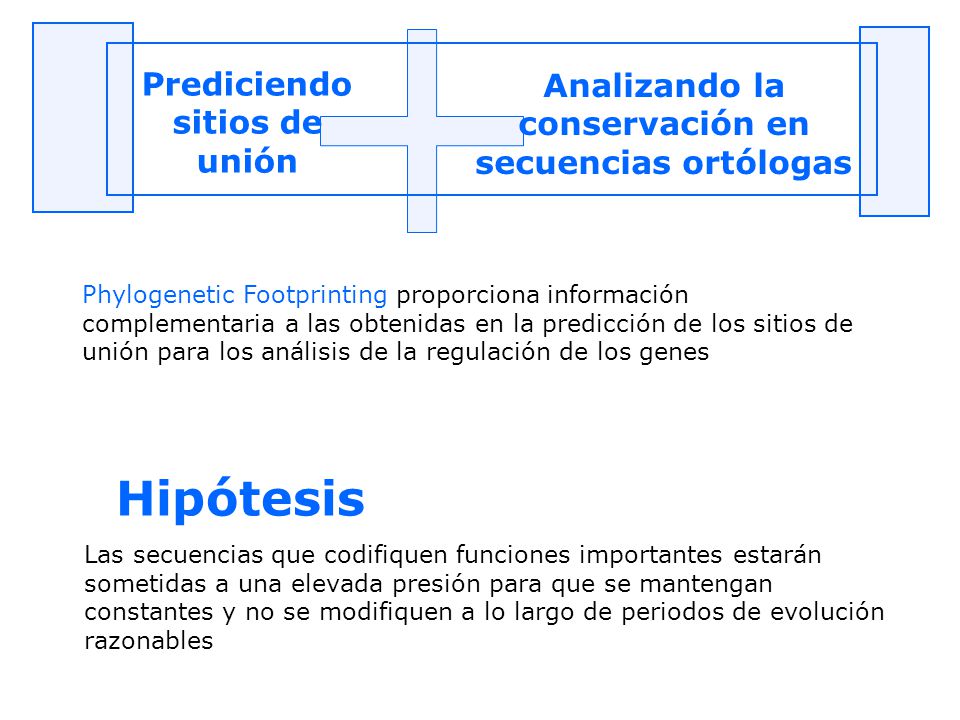 Hipótesis Prediciendo sitios de unión