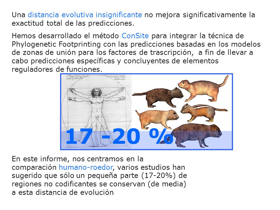 Una distancia evolutiva insignificante no mejora significativamente la exactitud total de las predicciones.