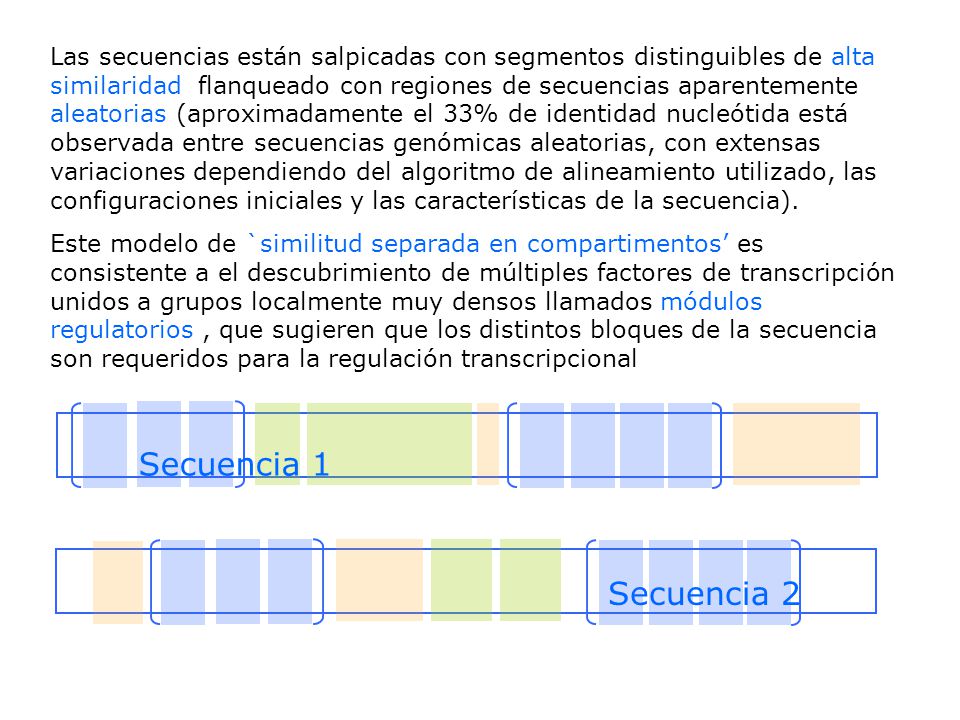 Las secuencias están salpicadas con segmentos distinguibles de alta similaridad flanqueado con regiones de secuencias aparentemente aleatorias (aproximadamente el 33% de identidad nucleótida está observada entre secuencias genómicas aleatorias, con extensas variaciones dependiendo del algoritmo de alineamiento utilizado, las configuraciones iniciales y las características de la secuencia).