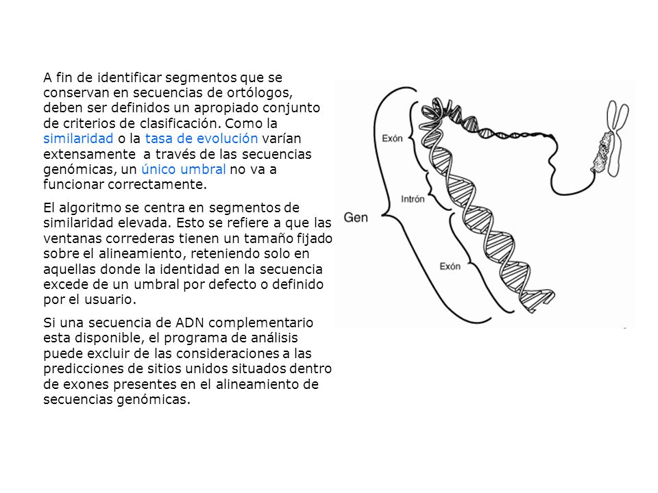 A fin de identificar segmentos que se conservan en secuencias de ortólogos, deben ser definidos un apropiado conjunto de criterios de clasificación. Como la similaridad o la tasa de evolución varían extensamente a través de las secuencias genómicas, un único umbral no va a funcionar correctamente.