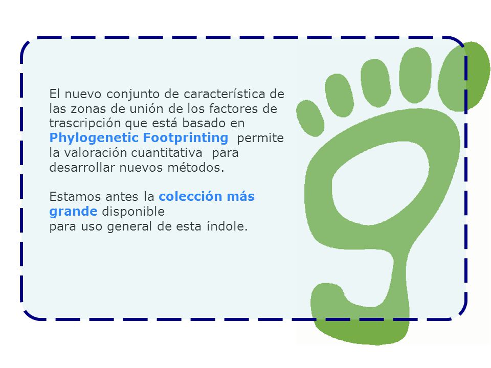 El nuevo conjunto de característica de las zonas de unión de los factores de trascripción que está basado en Phylogenetic Footprinting permite