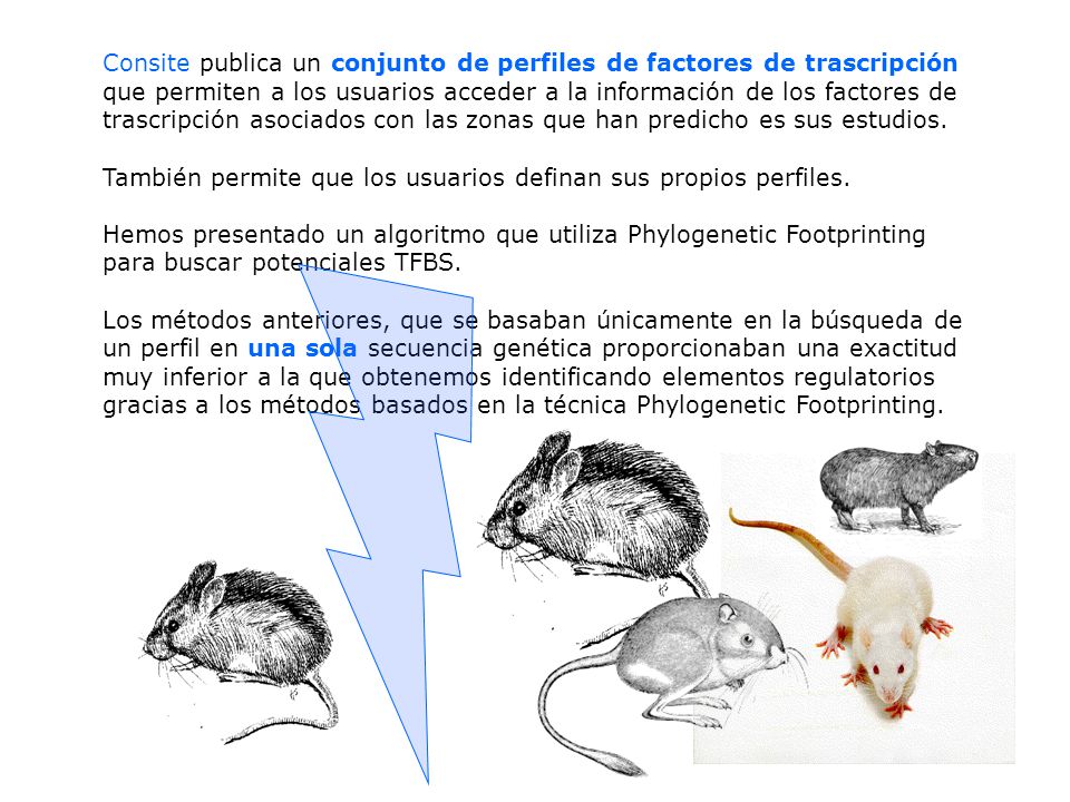 Consite publica un conjunto de perfiles de factores de trascripción que permiten a los usuarios acceder a la información de los factores de trascripción asociados con las zonas que han predicho es sus estudios.