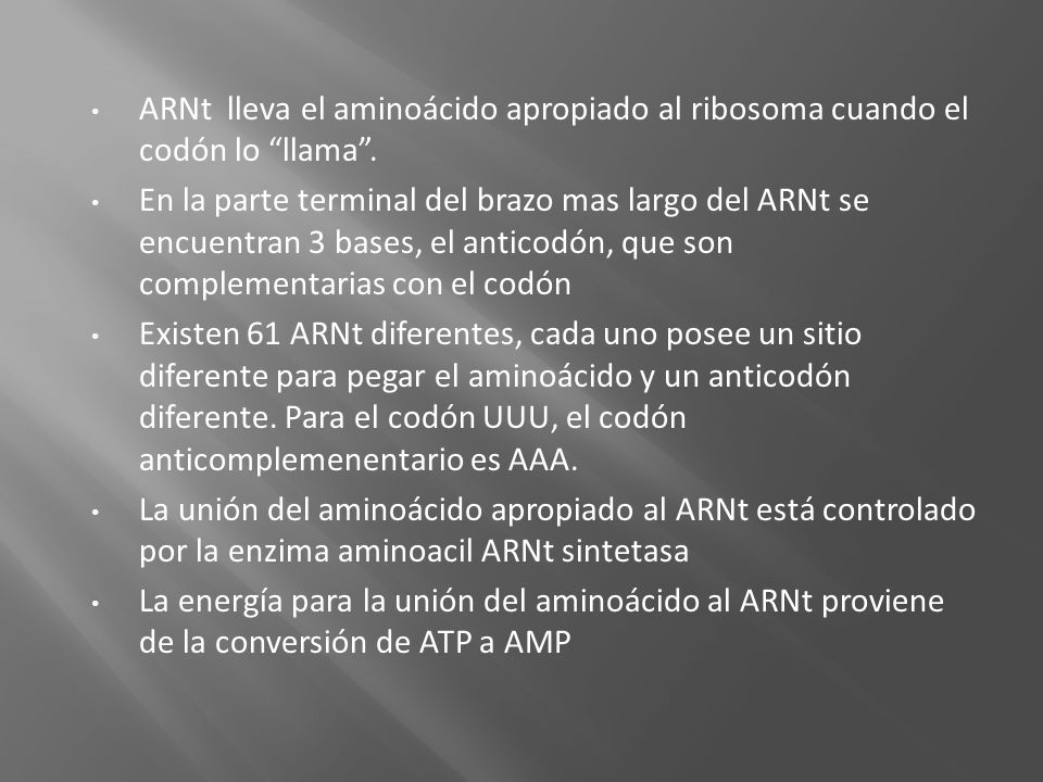 ARNt lleva el aminoácido apropiado al ribosoma cuando el codón lo llama .