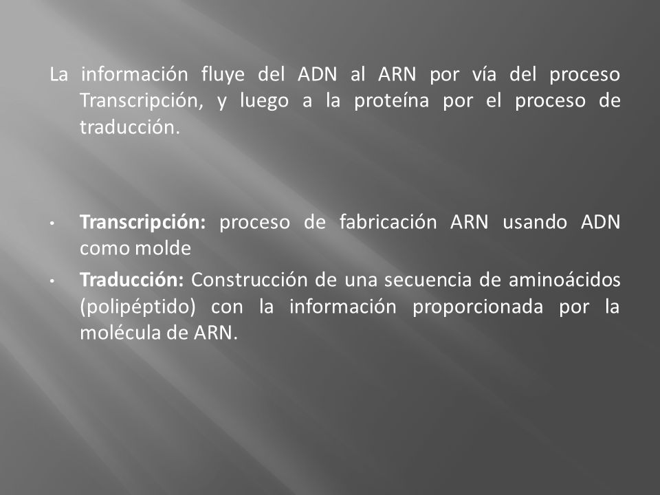 La información fluye del ADN al ARN por vía del proceso Transcripción, y luego a la proteína por el proceso de traducción.