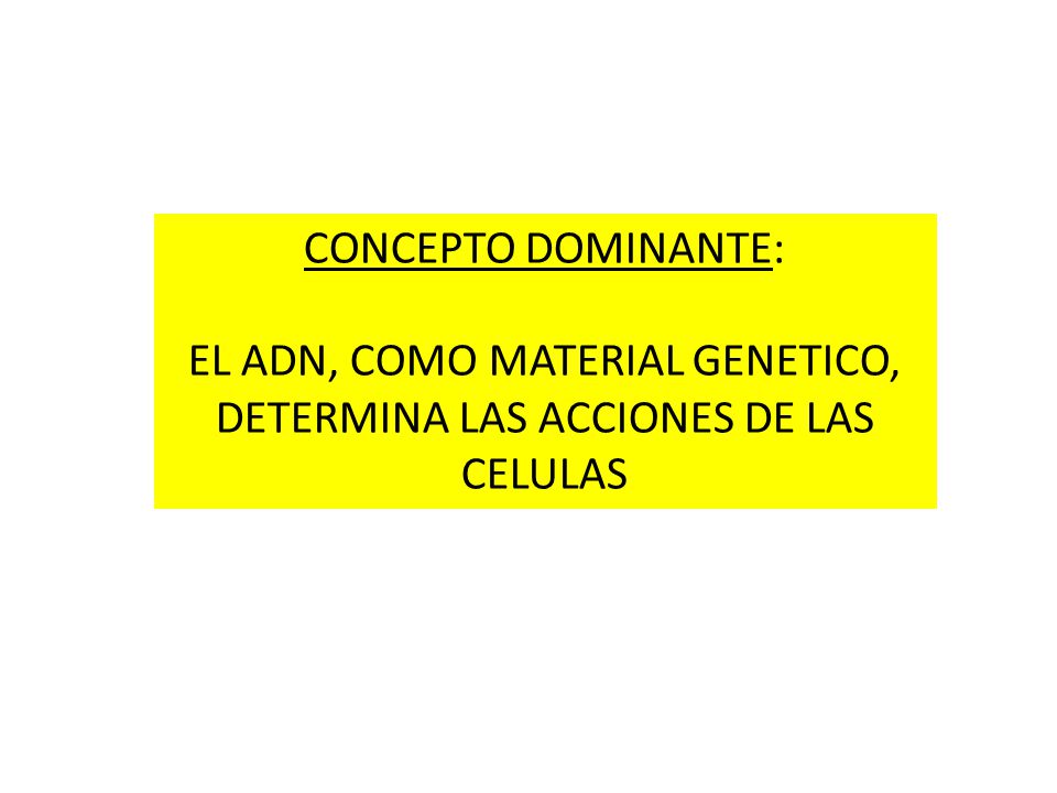 EL ADN, COMO MATERIAL GENETICO, DETERMINA LAS ACCIONES DE LAS CELULAS