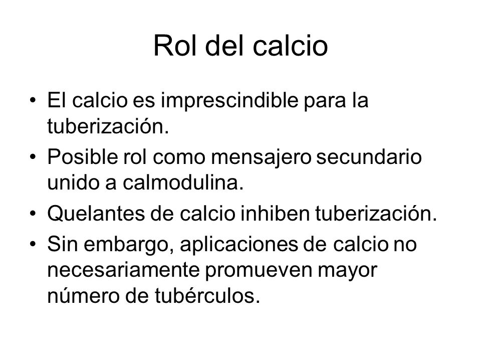 Rol del calcio El calcio es imprescindible para la tuberización.