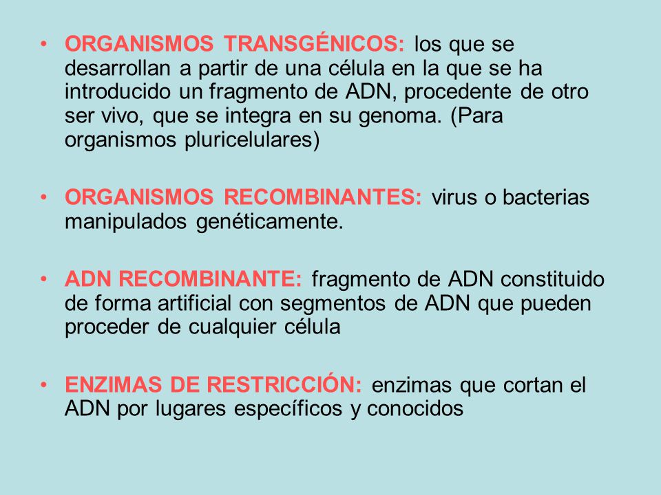 ORGANISMOS TRANSGÉNICOS: los que se desarrollan a partir de una célula en la que se ha introducido un fragmento de ADN, procedente de otro ser vivo, que se integra en su genoma. (Para organismos pluricelulares)