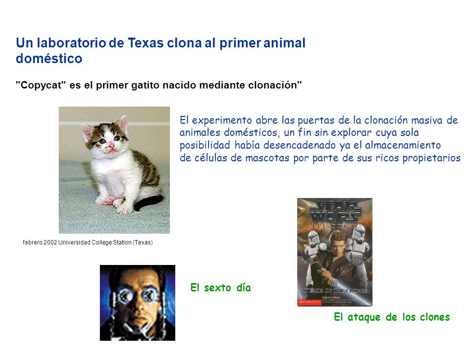 Un laboratorio de Texas clona al primer animal doméstico