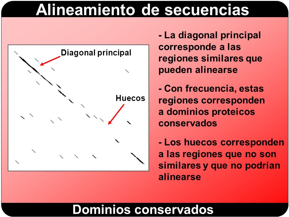 - La diagonal principal corresponde a las regiones similares que pueden alinearse