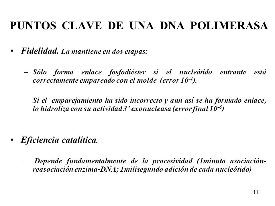PUNTOS CLAVE DE UNA DNA POLIMERASA