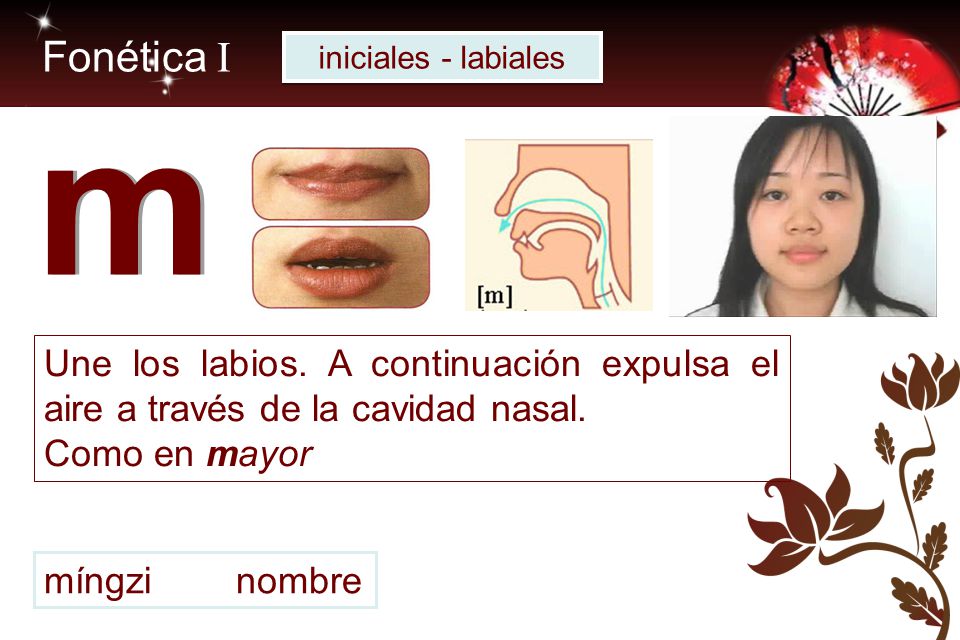 Fonética I iniciales - labiales. m. Une los labios. A continuación expulsa el aire a través de la cavidad nasal.