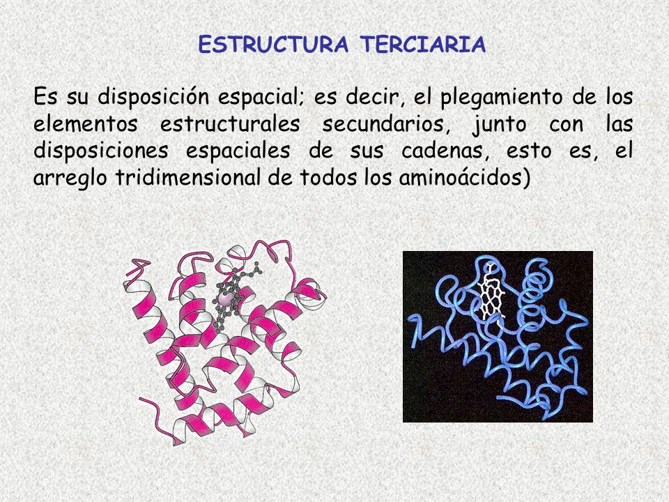 ESTRUCTURA TERCIARIA