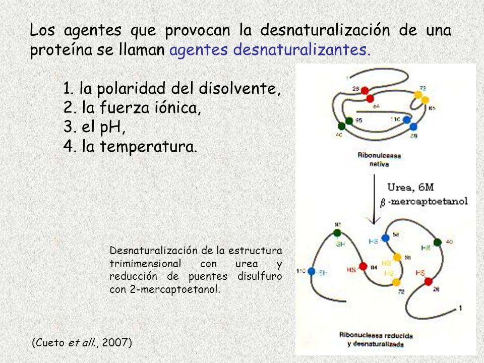 1. la polaridad del disolvente, 2. la fuerza iónica, 3. el pH,