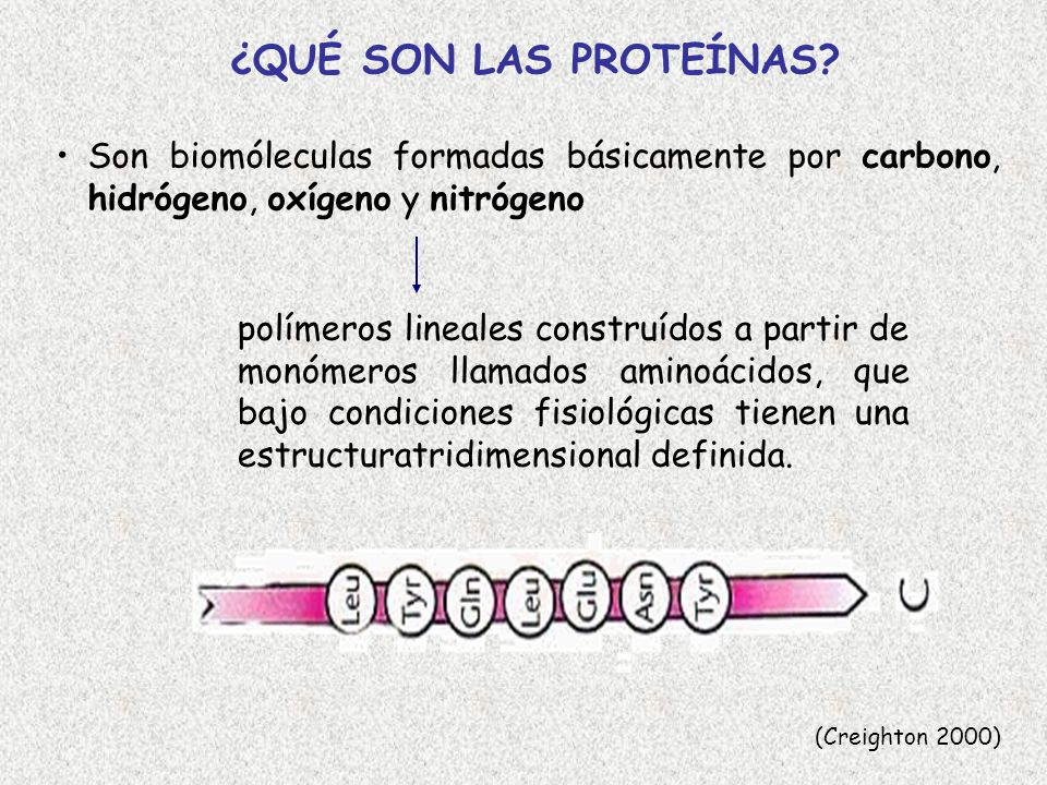 ¿QUÉ SON LAS PROTEÍNAS Son biomóleculas formadas básicamente por carbono, hidrógeno, oxígeno y nitrógeno.