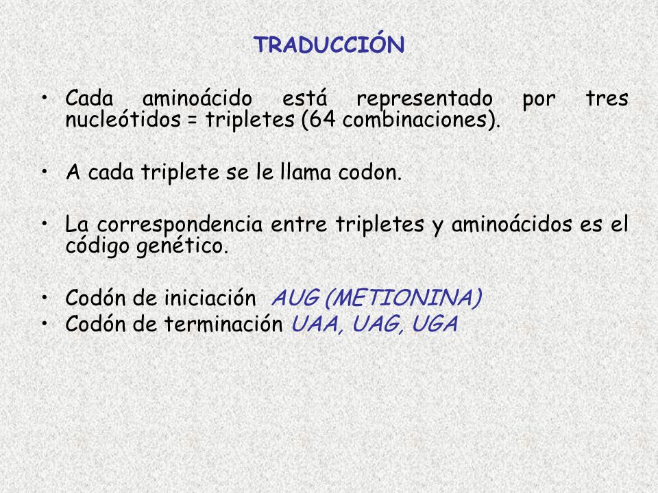 TRADUCCIÓN Cada aminoácido está representado por tres nucleótidos = tripletes (64 combinaciones). A cada triplete se le llama codon.