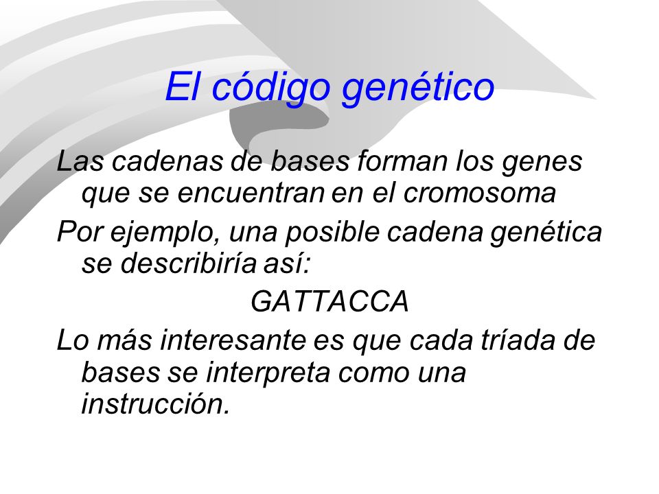 El código genético Las cadenas de bases forman los genes que se encuentran en el cromosoma.