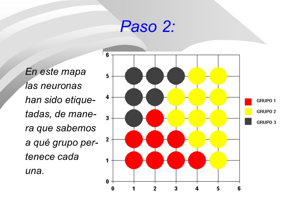 Paso 2: En este mapa las neuronas han sido etique- tadas, de mane-