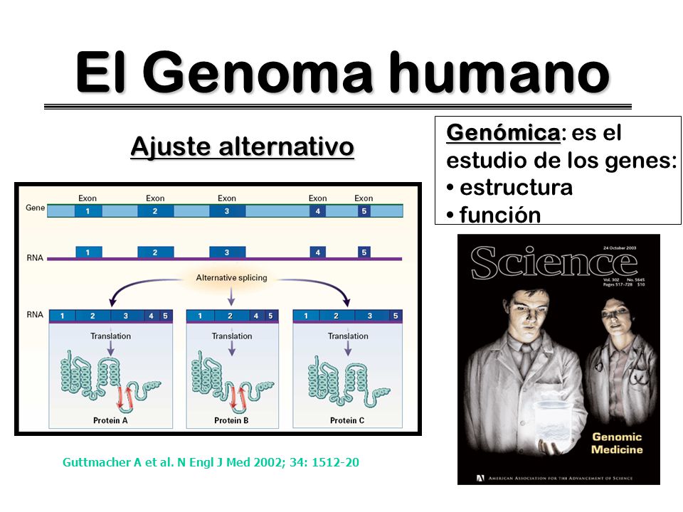 El Genoma humano Ajuste alternativo Genómica: es el