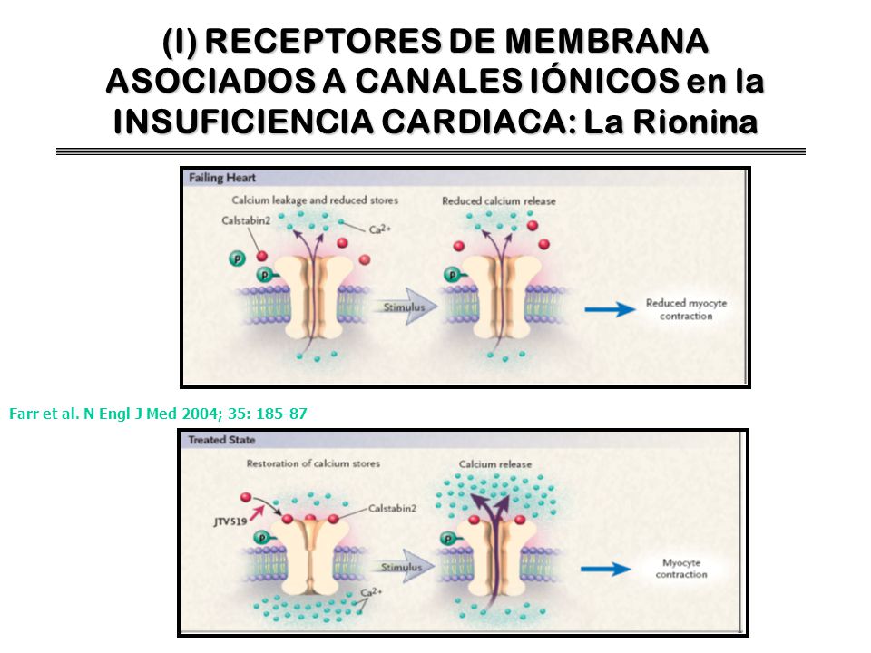 (I) RECEPTORES DE MEMBRANA ASOCIADOS A CANALES IÓNICOS en la INSUFICIENCIA CARDIACA: La Rionina