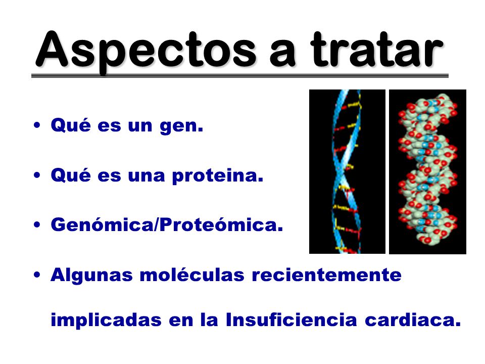 Aspectos a tratar Qué es un gen. Qué es una proteina.
