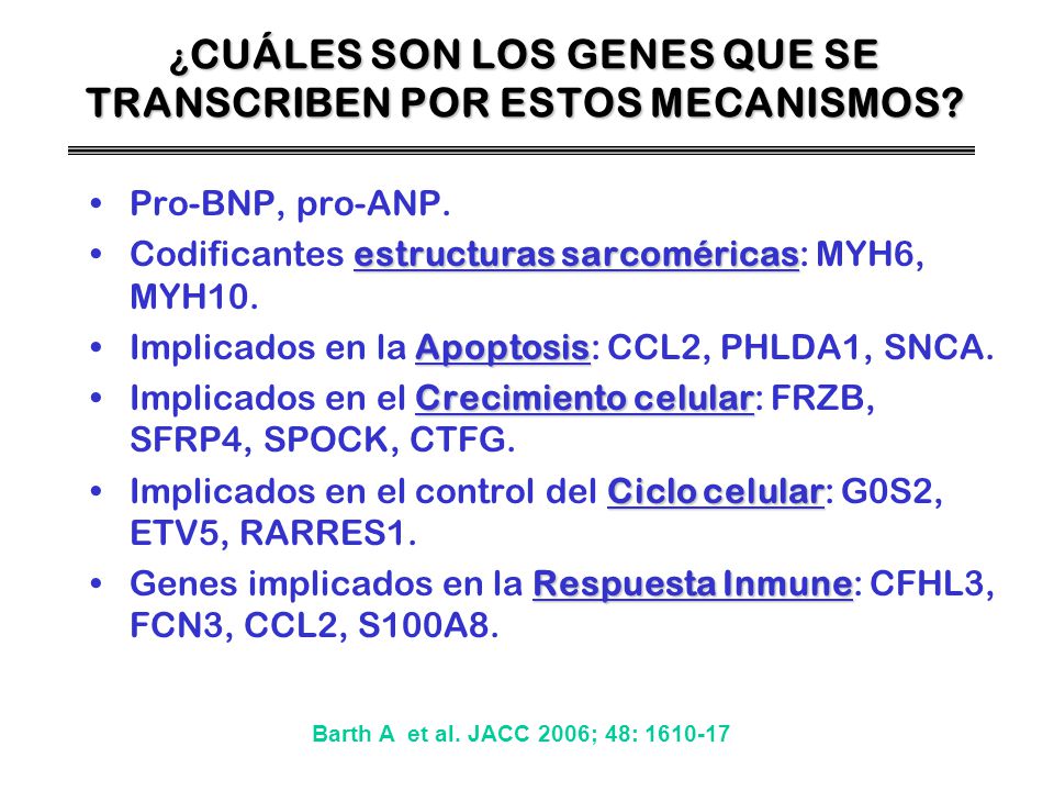 ¿CUÁLES SON LOS GENES QUE SE TRANSCRIBEN POR ESTOS MECANISMOS