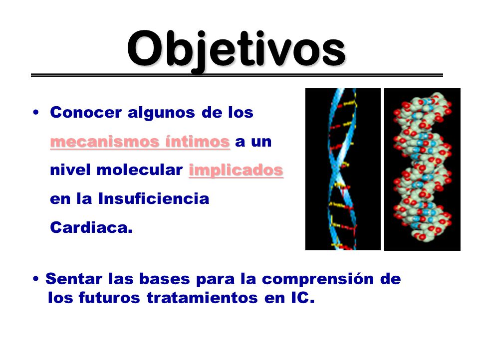 Objetivos Conocer algunos de los mecanismos íntimos a un nivel molecular implicados en la Insuficiencia Cardiaca.