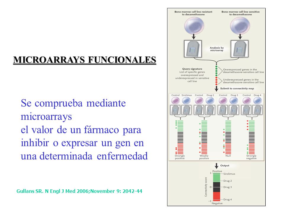 Se comprueba mediante microarrays el valor de un fármaco para