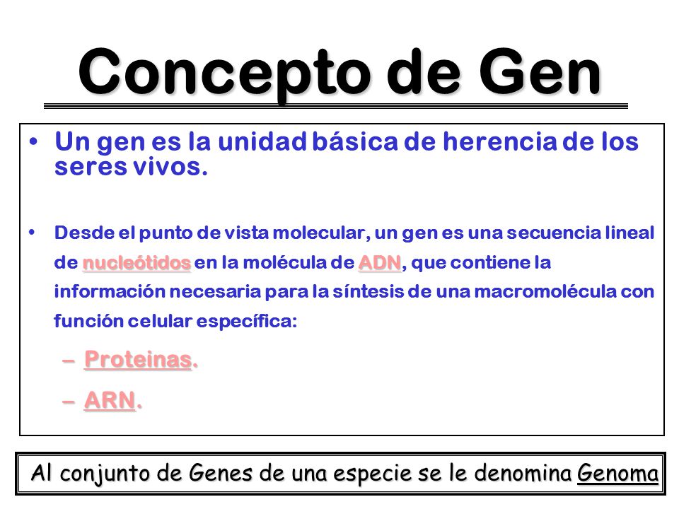 Concepto de Gen Un gen es la unidad básica de herencia de los seres vivos.