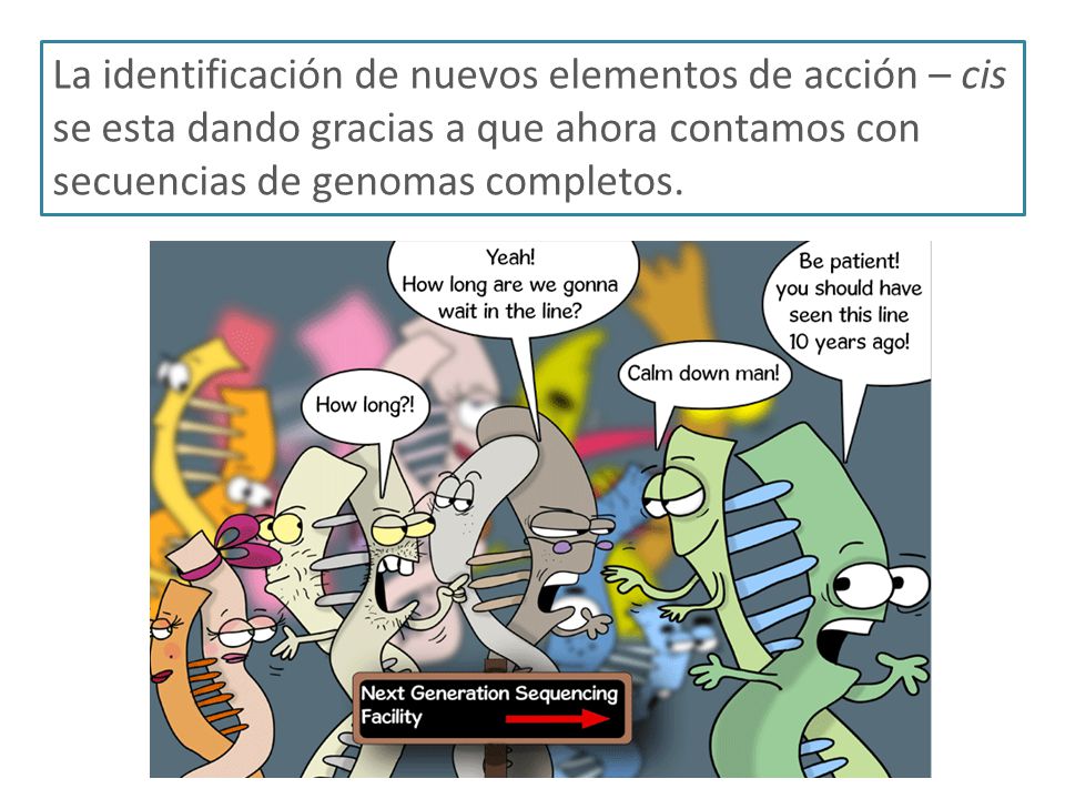 La identificación de nuevos elementos de acción – cis se esta dando gracias a que ahora contamos con secuencias de genomas completos.