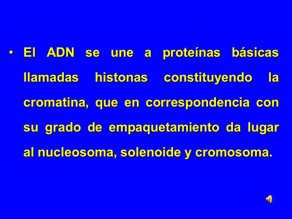 El ADN se une a proteínas básicas llamadas histonas constituyendo la cromatina, que en correspondencia con su grado de empaquetamiento da lugar al nucleosoma, solenoide y cromosoma.