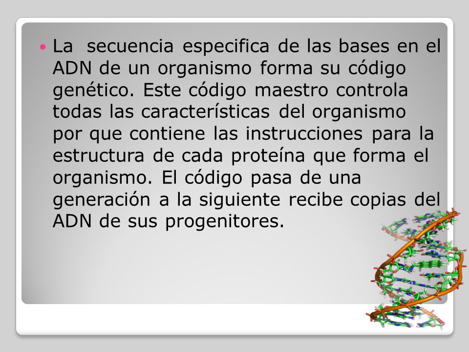 La secuencia especifica de las bases en el ADN de un organismo forma su código genético.